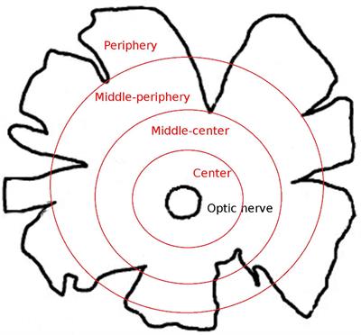 Immunohistochemical Characterisation of the Whale Retina